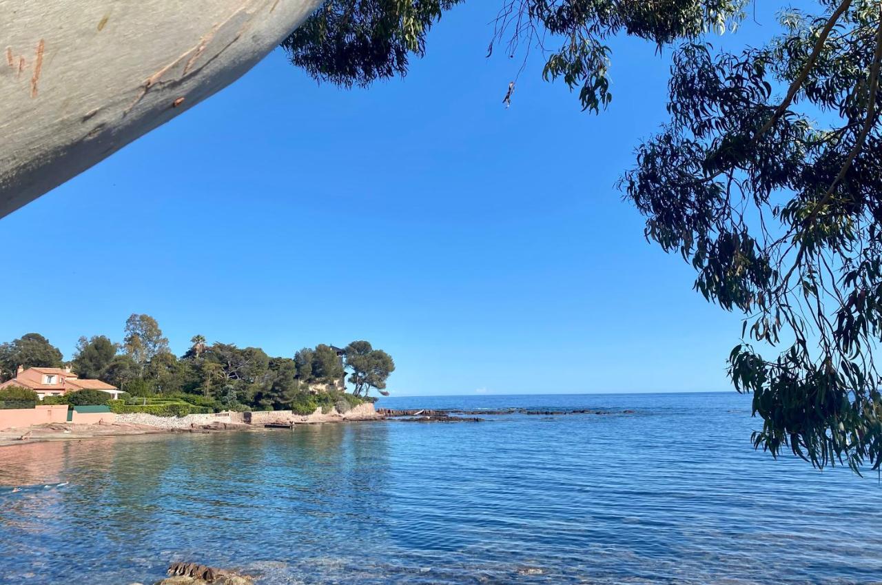 T2 A 50 Metres De La Mer, Belle Vue Sur Vegetation Saint-Raphael  Luaran gambar